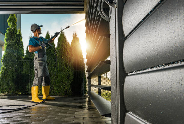 Best Soft Washing for Delicate Surfaces in La Marque, TX